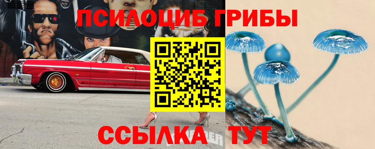 купить наркоту  Псилоцибиновые грибы Psilocybine cubensis  Псилоцибиновые грибы Psilocybe  Вход с VPN  Мариинск 
